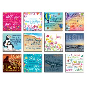 Variety pack of 12 Fridge Magnets