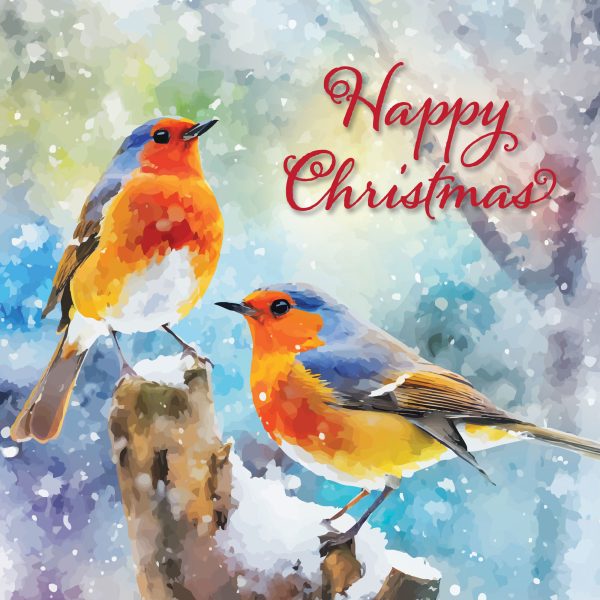 Christmas Robins Christmas Cards